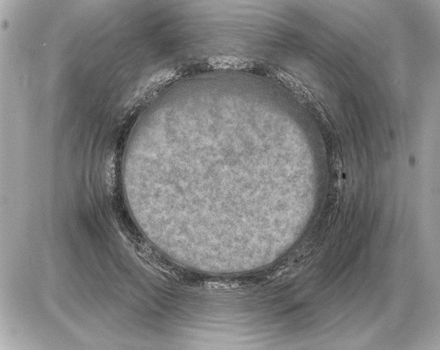 X0000085270690200704092140