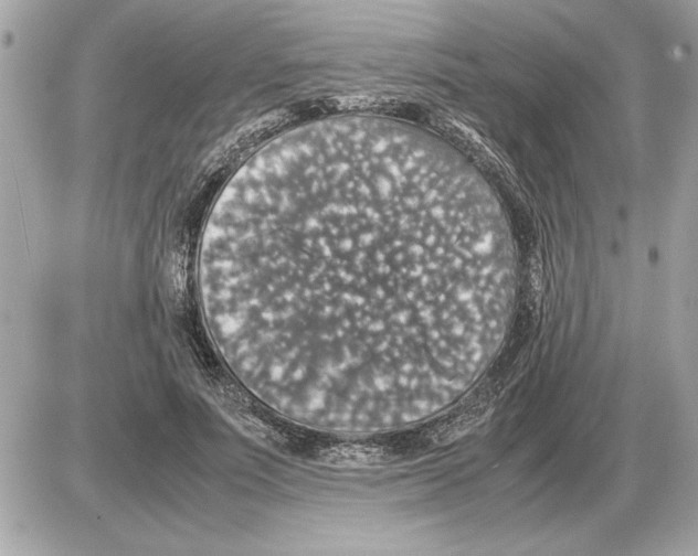 X0000085270691200704092140