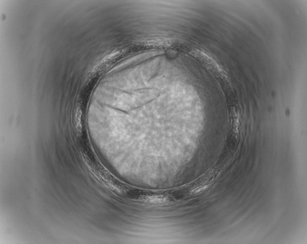 X0000085270692200704092140