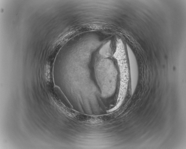 X0000085270696200704092140