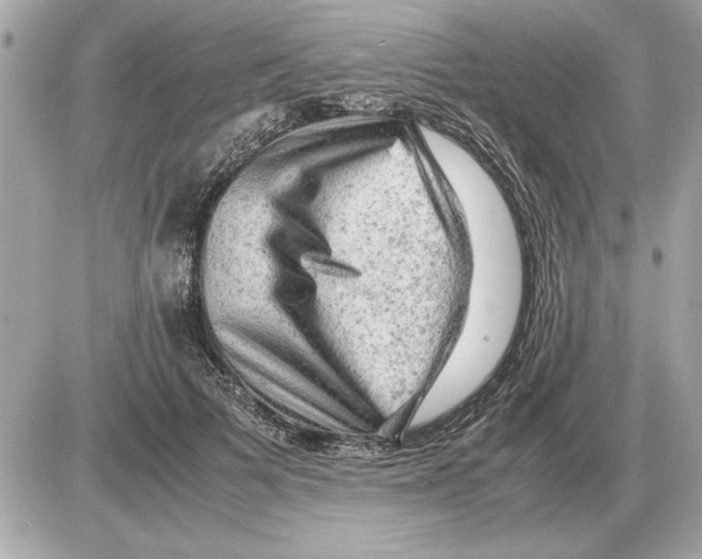 X0000085270697200704092140