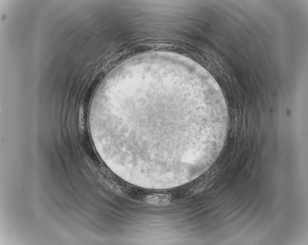 X0000085270700200704092140