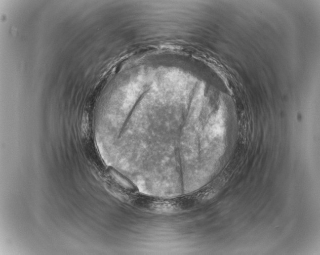 X0000085270704200704092140