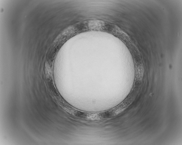 X0000085270705200704092140