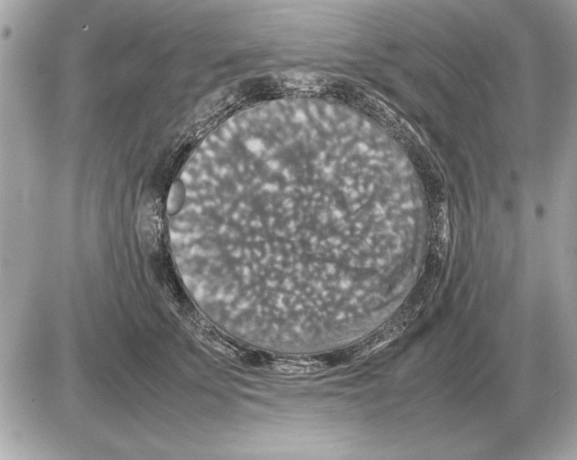 X0000085270707200704092140