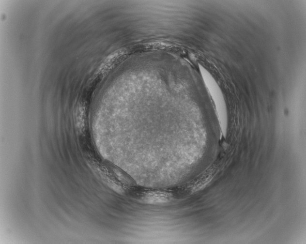 X0000085270708200704092140