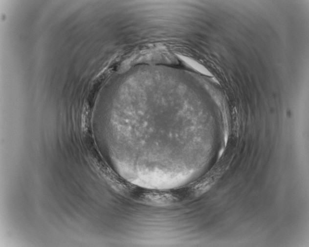 X0000085270712200704092140