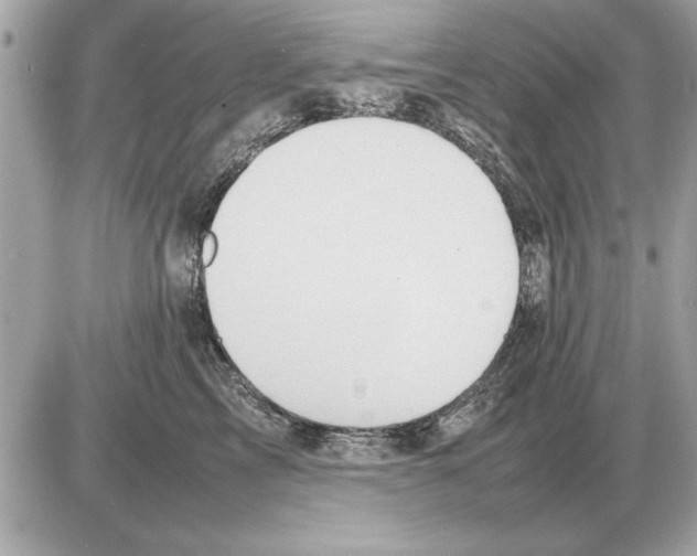 X0000085270713200704092140