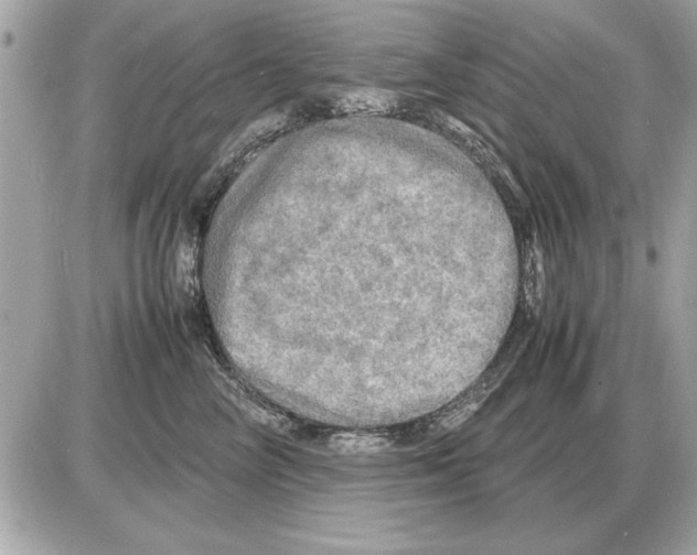 X0000085270714200704092140