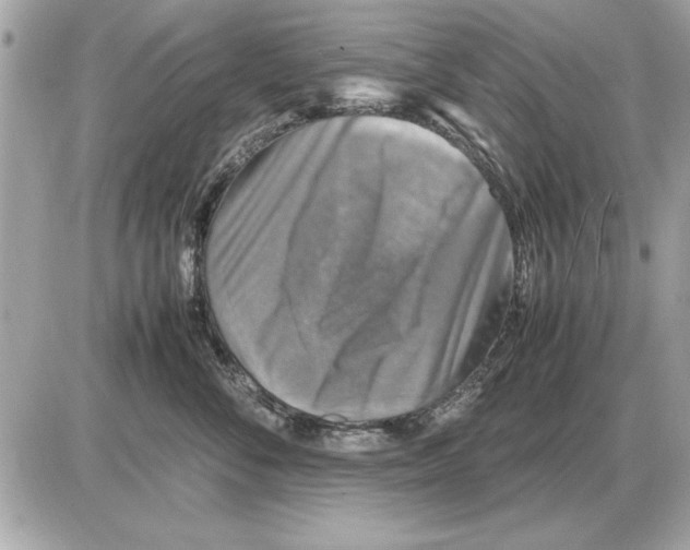 X0000085270716200704092140