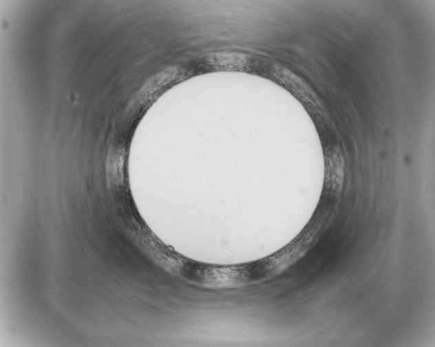 X0000085270717200704092140