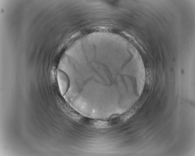 X0000085270718200704092140