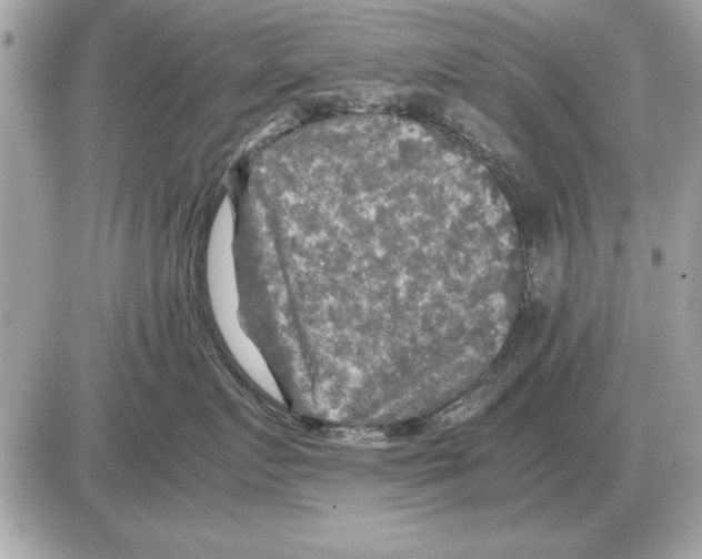 X0000085270719200704092140