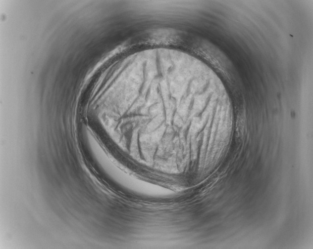 X0000085270722200704092139