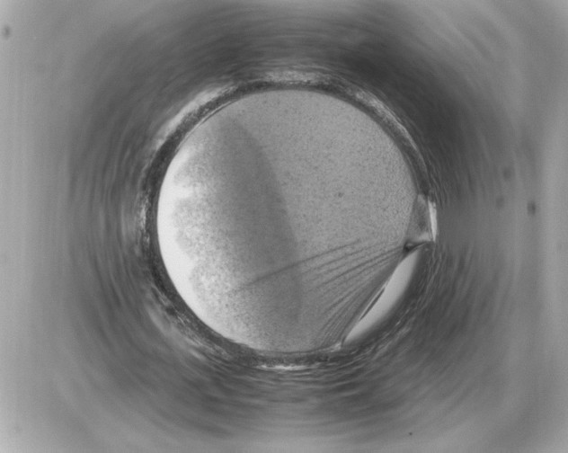 X0000085270723200704092139