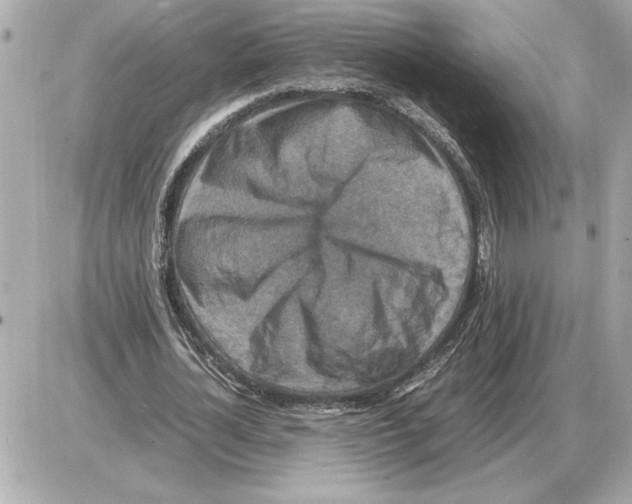 X0000085270724200704092139