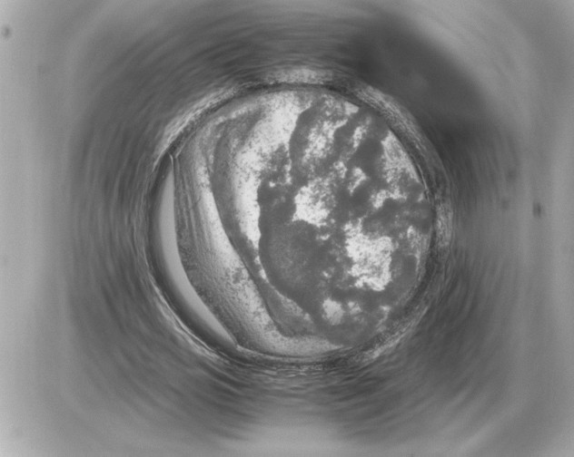 X0000085270725200704092139