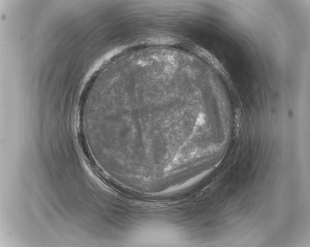 X0000085270726200704092139