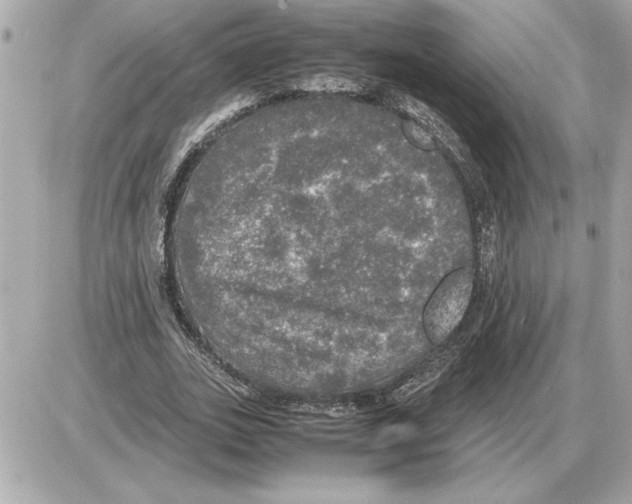 X0000085270727200704092139