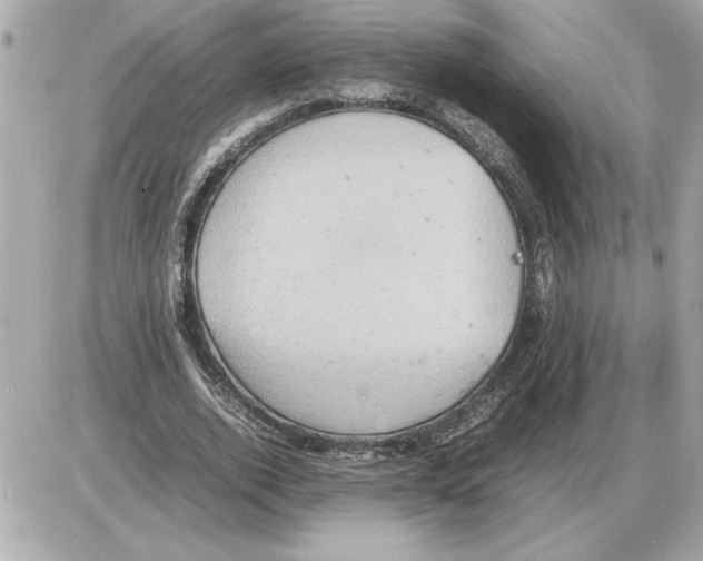 X0000085270728200704092139