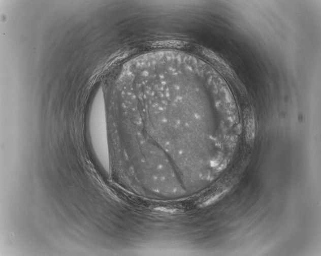 X0000085270729200704092139