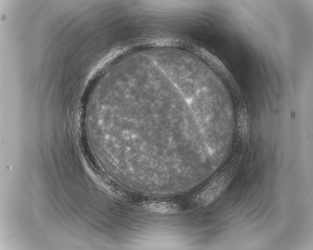 X0000085270730200704092139