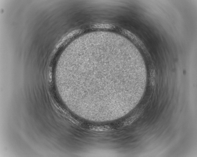 X0000085270731200704092139