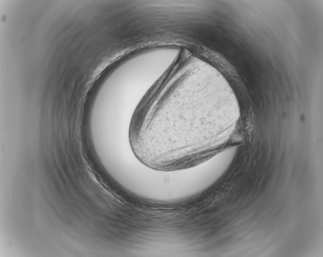 X0000085270732200704092139