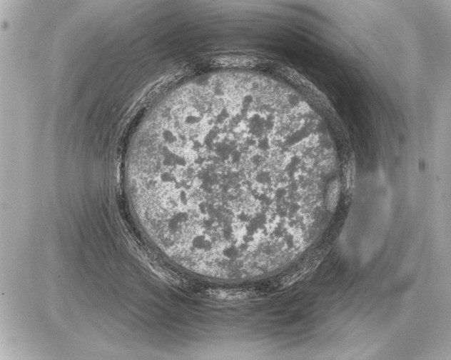 X0000085270733200704092139