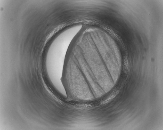 X0000085270734200704092139