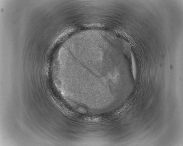 X0000085270735200704092139