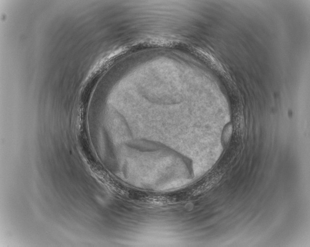 X0000085270736200704092139