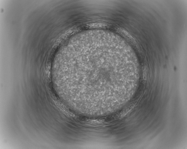 X0000085270737200704092139