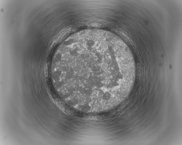 X0000085270738200704092139