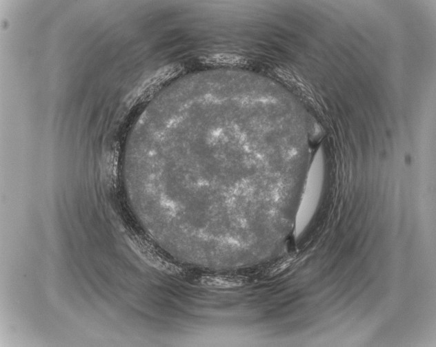 X0000085270739200704092139