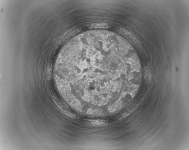 X0000085270741200704092139