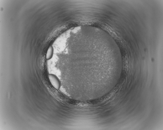 X0000085270742200704092139