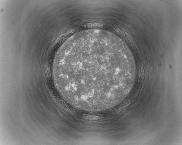 X0000085270743200704092139