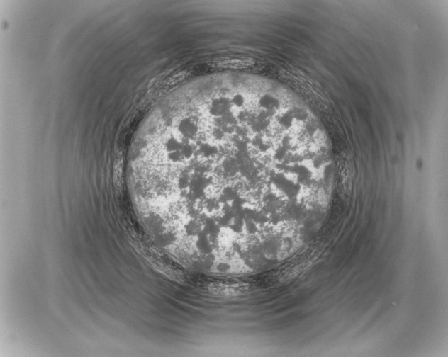 X0000085270745200704092139