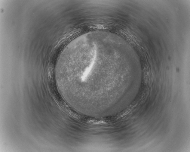 X0000085270747200704092139