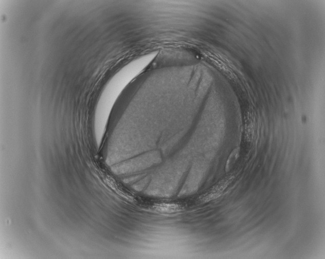 X0000085270748200704092139