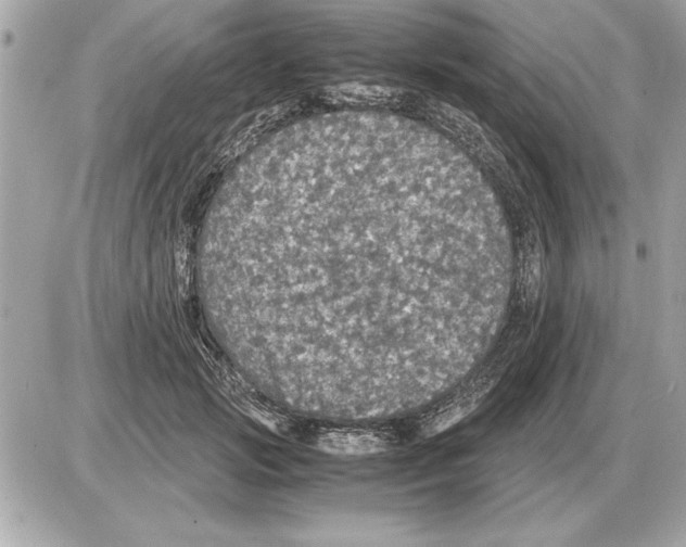 X0000085270749200704092139