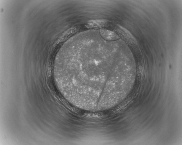 X0000085270751200704092139