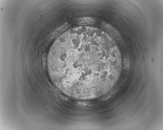 X0000085270753200704092140