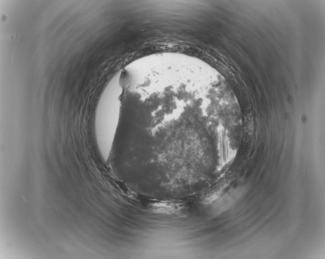 X0000085270754200704092140