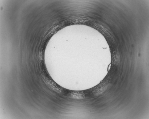 X0000085270756200704092140