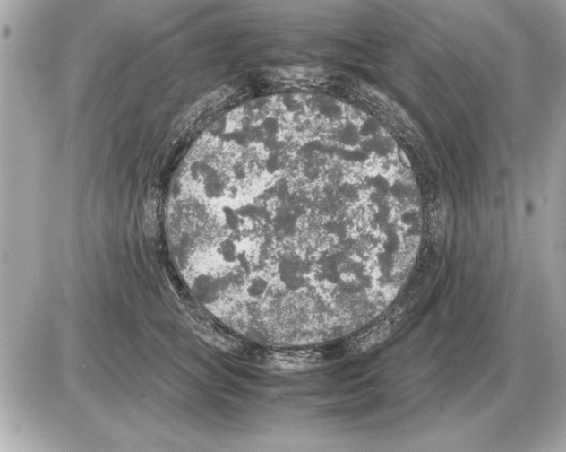 X0000085270757200704092140