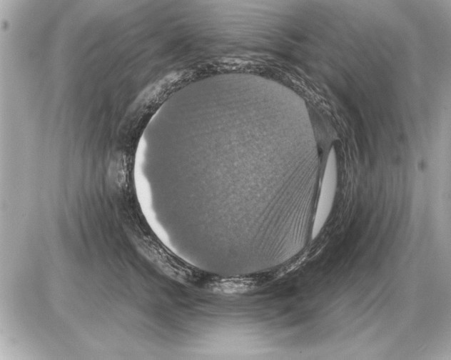 X0000085270758200704092140