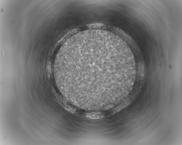 X0000085270761200704092140