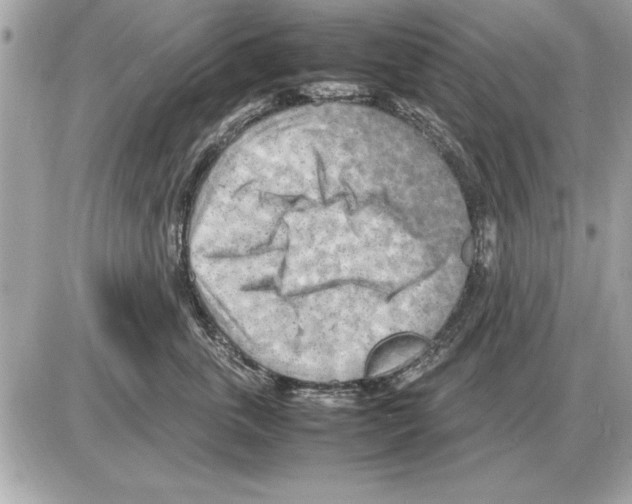 X0000085270763200704092140